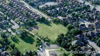 'Disfigured' dead cats found in park north of Toronto - CTV News