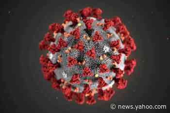 Tiny sponges may soak up coronavirus; old steroid dexamethasone saves lives in COVID-19 study