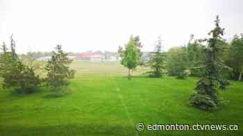 Thunderstorm spits out nickle-sized hail over Edmonton - CTV News Edmonton