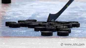 Edmonton, Toronto, Vancouver can be hub city in NHL Return to Play Plan - NHL.com