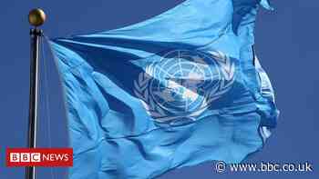 Ireland wins seat on UN Security Council