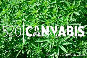 MMJ: No Rush