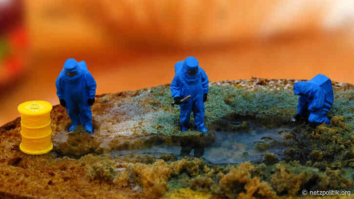 Netzwerkdurchsetzungsgesetz: Bundestag entscheidet über umstrittenes Gesetz gegen Hasskriminalität