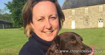 Boris expected to find new job for Anne-Marie Trevelyan