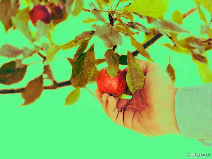 Opinion: Why Publicis' money-back-guarantee isn't likely to work