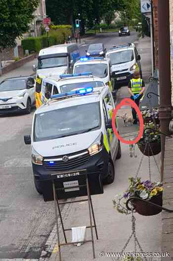 Three people arrested after raid in York city centre