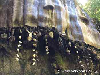 Mother Shipton's Cave in Knaresborough reopens