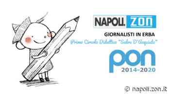 Primo circolo didattico Salvo D'Acquisto: giornalisti in erba per Napolizon - Napoli.zon
