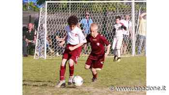 La Querce, sì al sussidiario in erba sintetica - LA NAZIONE
