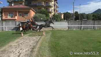 Bettole: l'erba è buona, ora ci vuole il pubblico - Rete55 - Rete55