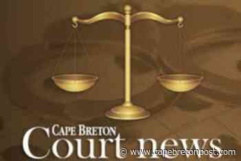 Sydney woman sentenced on theft offences - Cape Breton Post