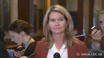 Non-Indigenous MPP will co-chair Ontario's new Indigenous Women's Advisory Council