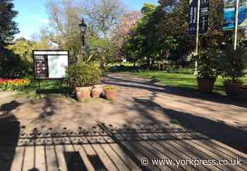 Trust keen to reopen York's Museum Gardens to visitors soon