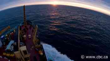 Cotton fibres, microplastics pervade Eastern Arctic, study finds