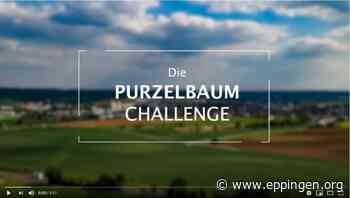 Purzelbaum Challenge - Eppingen.org