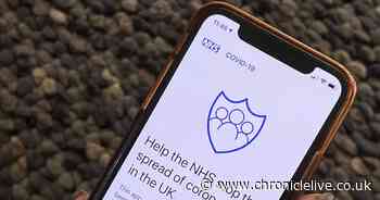Coronavirus latest: Government abandons development of NHS track and trace app