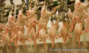 Welsh chicken factory closed for two weeks over Covid-19 in staff
