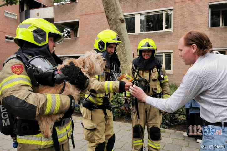Achttien woningen onbewoonbaar na grote brand in Wageningen