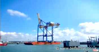 Watch as new £6.6m crane installed in Belfast Harbour - Belfast Live