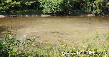 Victoria Park concerns over 'stagnant and polluted' water - Belfast Live