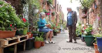 South Belfast alley completely transformed into garden paradise - Belfast Live