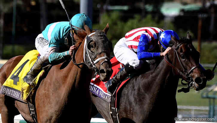 Why Dad, with his his futile $2 win wagers, would still be a horse racing fan