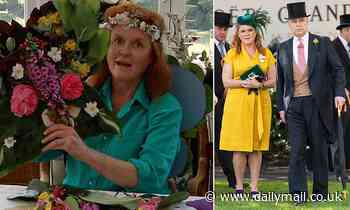 SEBASTIAN SHAKESPEARE: Sarah Ferguson flies high with relaunch of her Budgie books