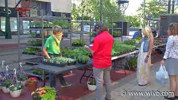 Country Market returns to downtown Buffalo for 38th year