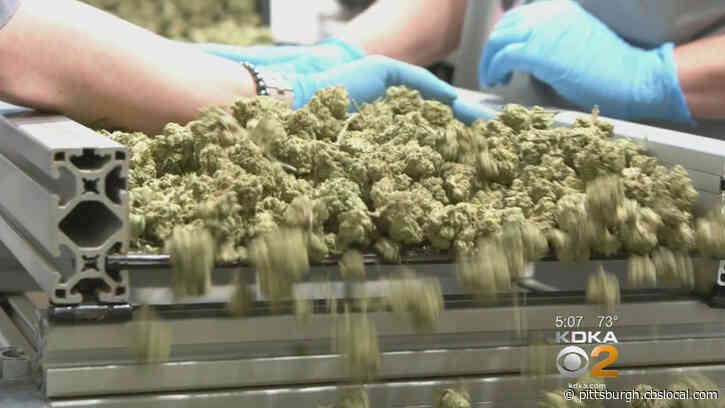 Counties Cannot Ban People On Probation, Parole From Using Medical Pot If They Are Registered In Program, Pa. Supreme Rules