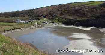 Body found in search for missing man in Pembrokeshire - Wales Online
