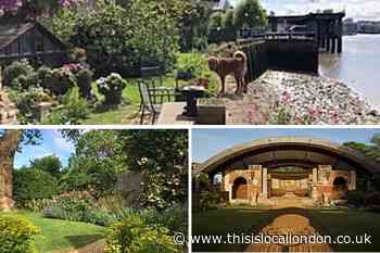 Greenwich & Bexley Hospice's garden festival goes virtual