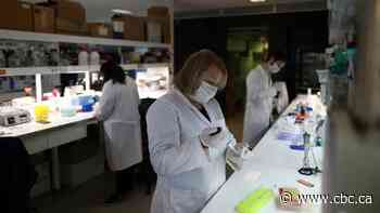 Coronavirus: What's happening around the world on June 18