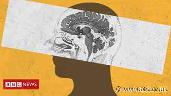 How our brains are processing the pandemic