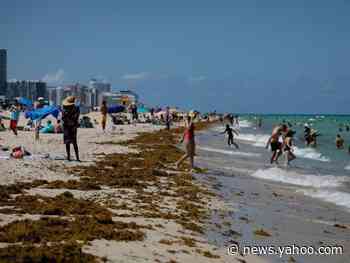 Coronavirus: Florida reports record one-day spike in Covid-19 cases of 3,207