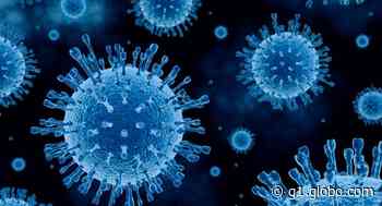 Atibaia, Caraguatatuba e Piracaia confirmam novas mortes por coronavírus - G1