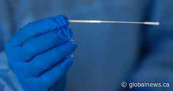 Coronavirus: Ottawa Public Health announces 7 new cases of COVID-19 - Globalnews.ca