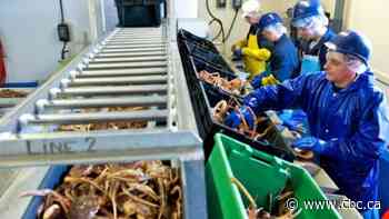 Ottawa sets aside $38M for Atlantic Canada seafood plants - CBC.ca