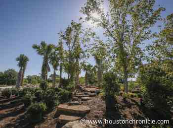 Sneak peek: Houston Botanic Garden, a worldly wonderland-in-the-making - Houston Chronicle