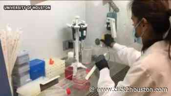 Houston vaccine developments and when one could be available - KPRC Click2Houston