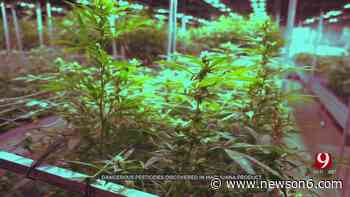 News 9 Investigates Banned Pesticides Found In Medical Marijuana Sold To Customers - News On 6