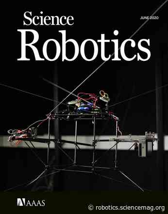 Elucidating the interaction dynamics between microswimmer body and immune system for medical microrobots - Science
