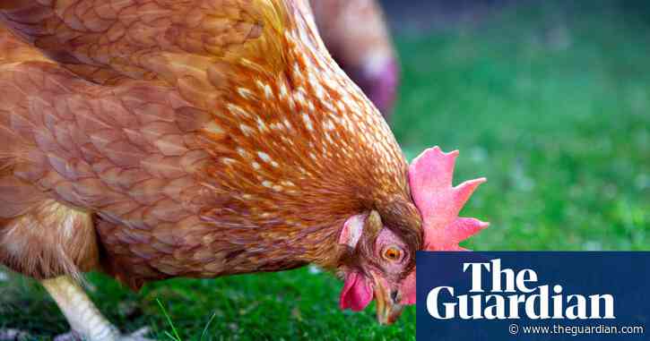 Wildlife Conservation Society’s stance on meat clarified | Letter