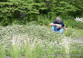 Pittsburgh Botanic Garden reopens Tuesday