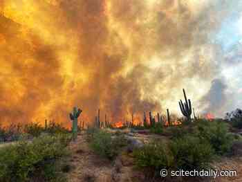 Wildfires Rage in Arizona and New Mexico as Seen From NASA’s Aqua Satellite