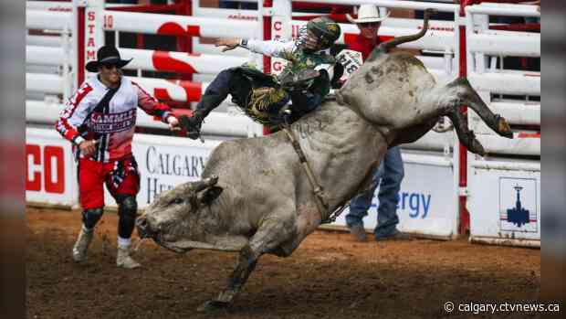 Mouths to feed, no money coming in; rodeo stock contractors feel pandemic pain