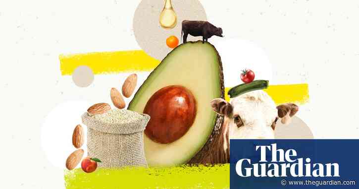 Why you should go animal-free: 18 arguments for eating meat debunked