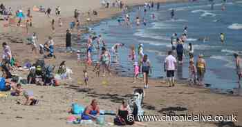 Lifeguards to return to Sunderland's Seaburn beach this weekend