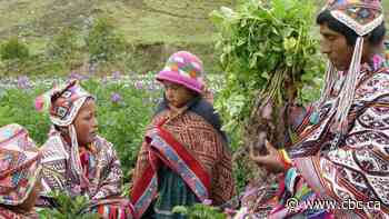 For Indigenous people, seeds are more than food — they're 'members of an extended family'