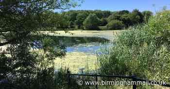 Teenager stabbed during park robbery