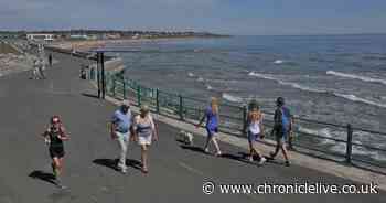 17 dog walkers fined for taking their pets on Sunderland beaches in two weeks